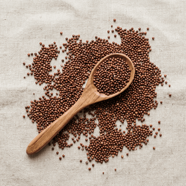 Finger Millet (Ragi)